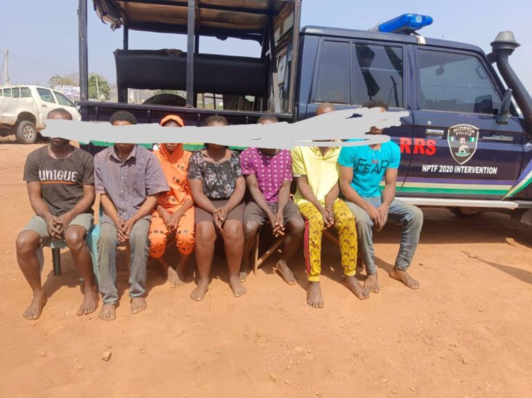Ekiti: Police arrest seven suspected burglars